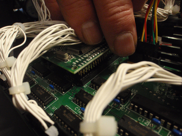 RabbitCorePC053692.jpg