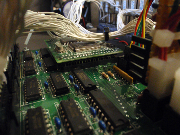RabbitCorePC053693.jpg
